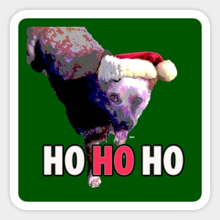 Cattle Dog Christmas Sticker